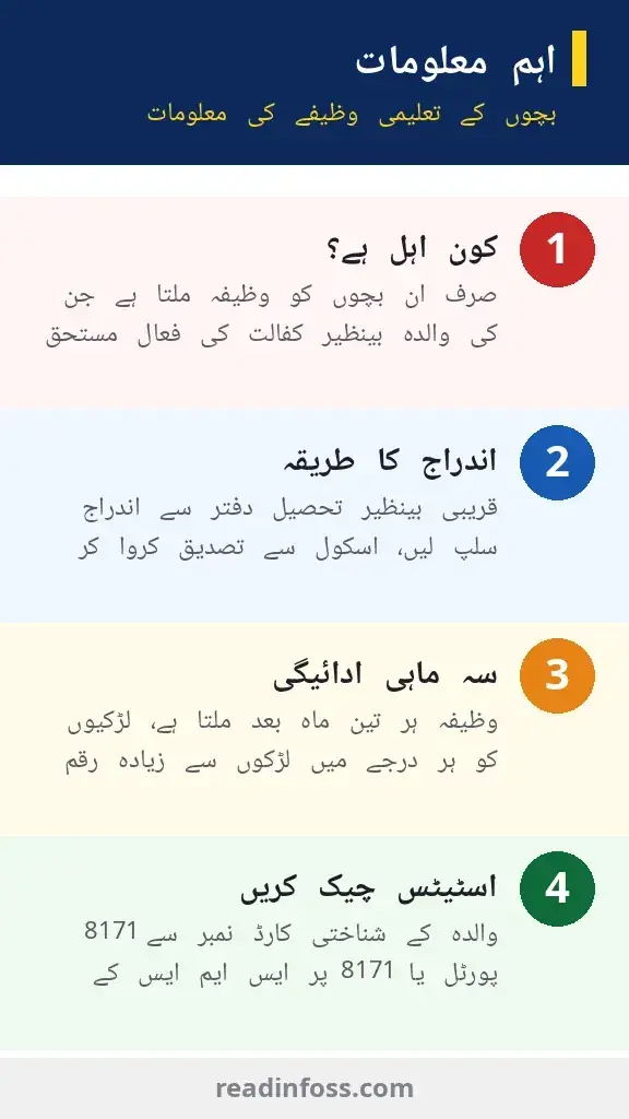 Benazir Taleemi Wazaif Check Online 2026 infographic